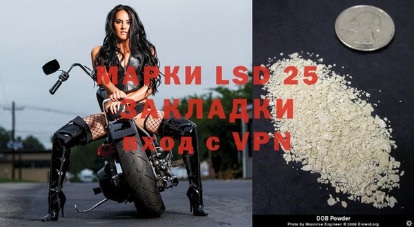 прущая мука Новодвинск