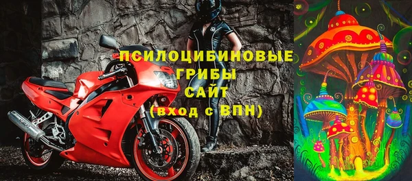 ГАЛЛЮЦИНОГЕННЫЕ ГРИБЫ Арсеньев