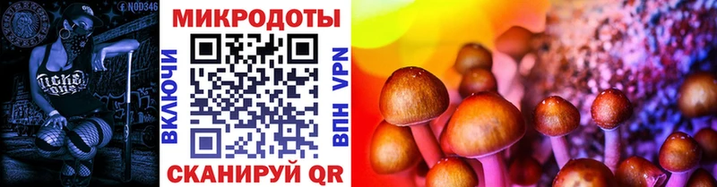 наркотики  Талица  Псилоцибиновые грибы Psilocybe 